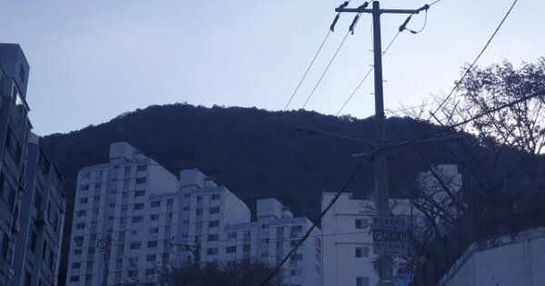 부산광역시 사상구 엄궁동 OOOOO 임야 경매 물건 이미지