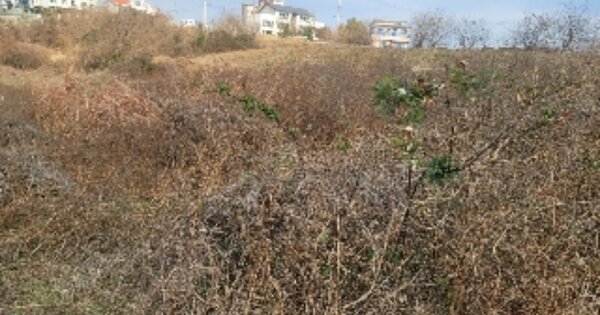 경상남도 통영시 용남면 동달리 OOOOO O OOO 전 경매 물건 이미지