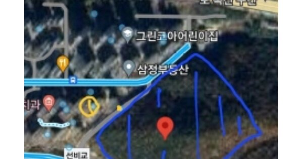 부산광역시 강서구 지사동 OOOO 임야 경매 물건 이미지