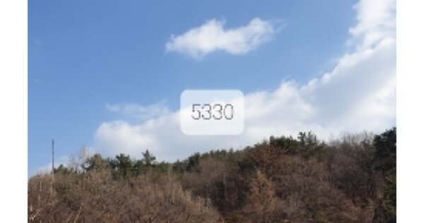부산광역시 기장군 장안읍 명례리 OOO 임야 경매 물건 이미지