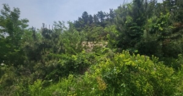 인천광역시 중구 덕교동 OOOO O OOO 근린시설 경매 물건 이미지