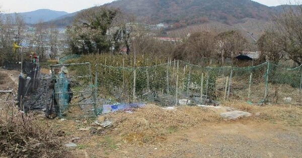 경상남도 김해시 주촌면 내삼리 OOOOO 전 경매 물건 이미지