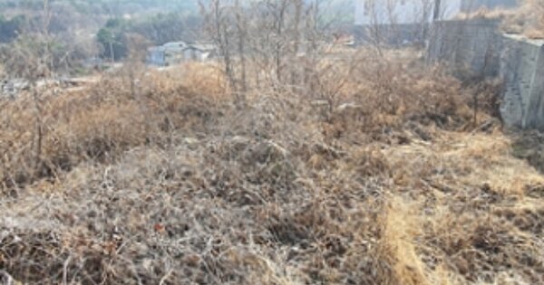 경상남도 김해시 생림면 나전리 OOOOO O OOO 임야 경매 물건 이미지
