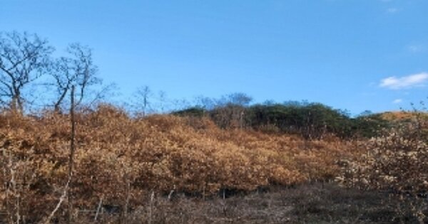 충청북도 영동군 학산면 박계리 OO 전 경매 물건 이미지