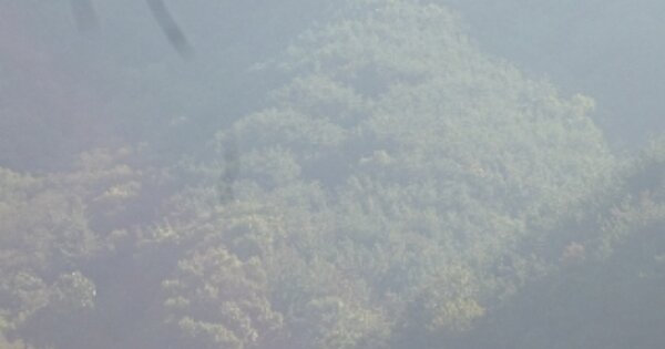 경상남도 창녕군 부곡면 청암리 OOO 임야 경매 물건 이미지