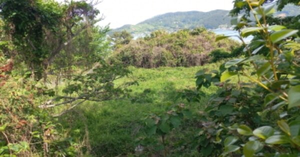 경상남도 거제시 일운면 소동리 OOOO 전 경매 물건 이미지