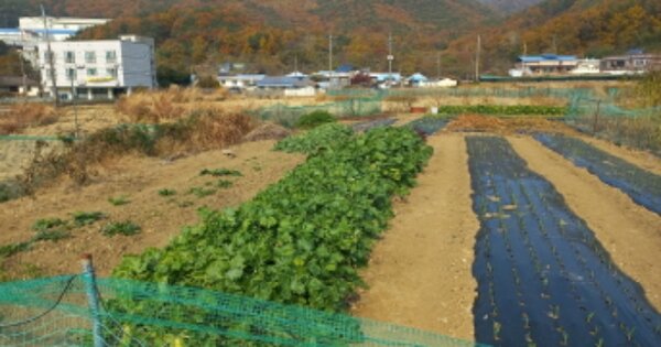 경상남도 거제시 연초면 오비리 OOOOO 답 경매 물건 이미지