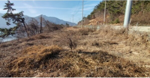 경상남도 고성군 동해면 봉암리 OOOOO O OOO 답 경매 물건 이미지