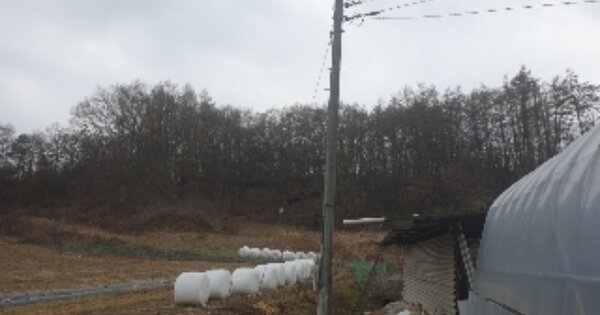 충청북도 충주시 산척면 영덕리 OOOOOO 임야 경매 물건 이미지