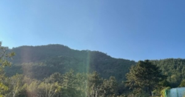 경상남도 남해군 창선면 동대리 OOOOO 임야 경매 물건 이미지