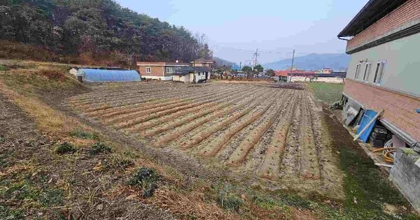 경기도 이천시 모가면 두미리 OOOOO 전 경매 물건 이미지