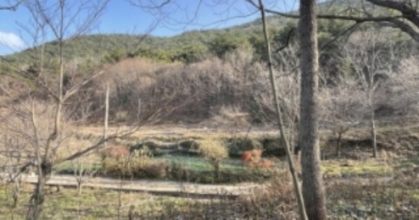 경상남도 사천시 사남면 사촌리 OO 전 경매 물건 이미지