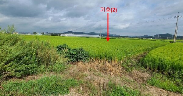 경기도 안성시 보개면 동신리 OOOOO O OOO 답 경매 물건 이미지