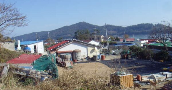 전라남도 완도군 노화읍 방서리 OOO 단독주택 경매 물건 이미지