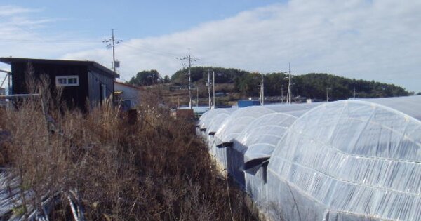 전라남도 완도군 노화읍 고막리 OOOOO 양어장 경매 물건 이미지