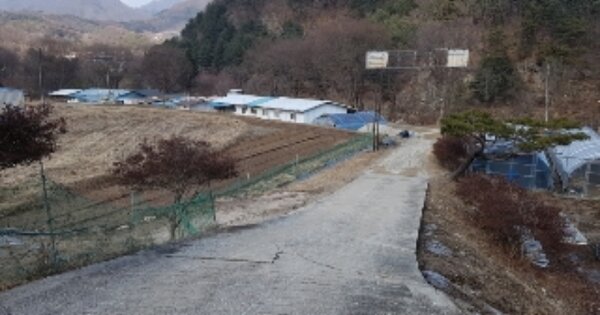 강원특별자치도 춘천시 사북면 오탄리 OOOOO O OOO 근린시설 경매 물건 이미지