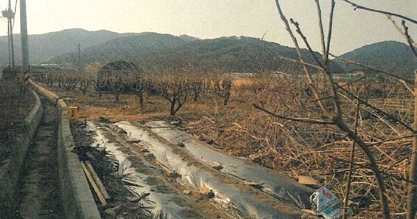 경상남도 창원시 마산합포구 진전면 오서리 OOOOO 답 경매 물건 이미지