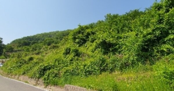 경상남도 의령군 봉수면 천락리 OOOOO 전 경매 물건 이미지