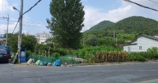 경상남도 창원시 마산합포구 진동면 진동리 OOOOO 대지 경매 물건 이미지