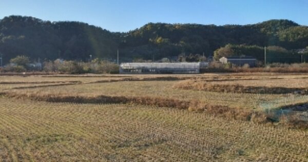 경상남도 창원시 마산합포구 진동면 진동리 OOO 답 경매 물건 이미지