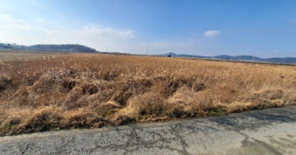 충청남도 아산시 영인면 창용리 OOO 답 경매 물건 이미지