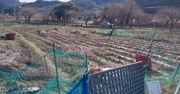 충청남도 공주시 반포면 공암리 OOO 답 경매 물건 이미지