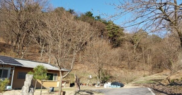 충청남도 공주시 반포면 온천리 OOOO O OOO 대지 경매 물건 이미지