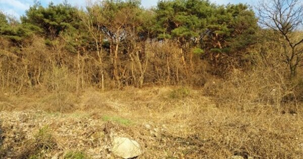충청남도 공주시 반포면 학봉리 OOOOO O OOO 답 경매 물건 이미지