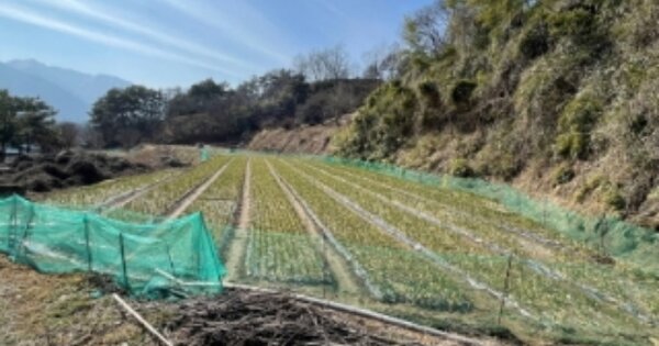 경상남도 산청군 산청읍 부리 OOO 답 경매 물건 이미지