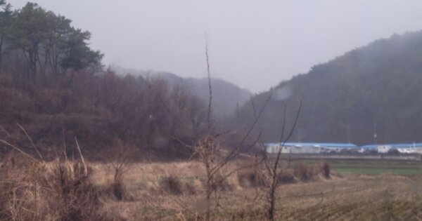 경상북도 영덕군 남정면 양성리 OOOOO 답 경매 물건 이미지