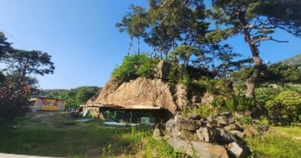 충청북도 옥천군 군서면 금산리 OO 묘지 경매 물건 이미지