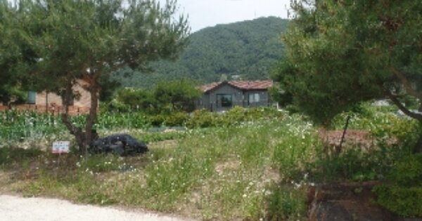 충청남도 논산시 연산면 신양리 OOOOO 전 경매 물건 이미지