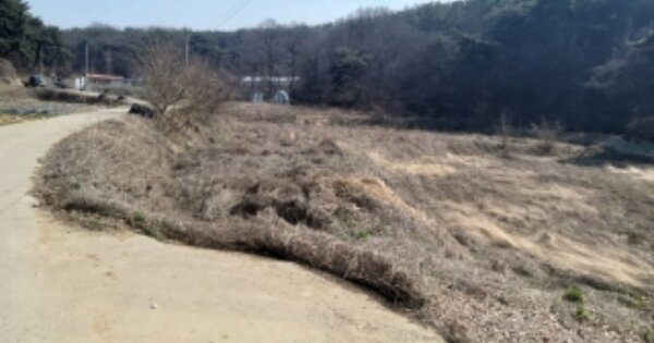 충청남도 당진시 송악읍 월곡리 OOOOO O OOO 답 경매 물건 이미지