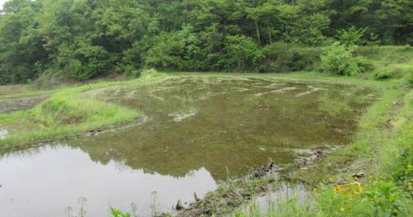 경상북도 상주시 공성면 산현리 O 답 경매 물건 이미지