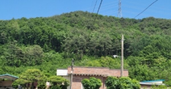 경상북도 포항시 남구 오천읍 갈평리 OOO 임야 경매 물건 이미지