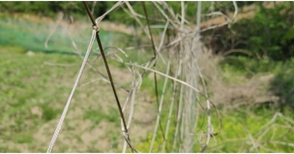 충청남도 예산군 예산읍 향천리 O 답 경매 물건 이미지