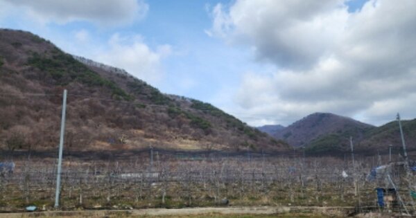 경상남도 양산시 원동면 선리 OOOOOO 답 경매 물건 이미지