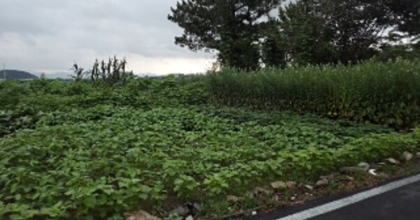 경상남도 밀양시 하남읍 수산리 OOOOO 대지 경매 물건 이미지