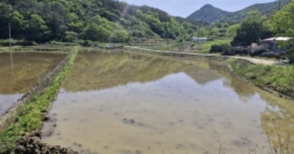 경상남도 고성군 동해면 장기리 OOOOO 답 경매 물건 이미지