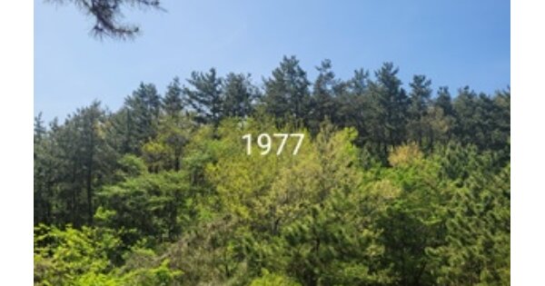 부산광역시 기장군 철마면 웅천리 OOO 임야 경매 물건 이미지