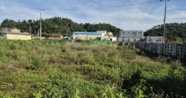경상북도 포항시 남구 구룡포읍 눌태리 OO O OOO 전 경매 물건 이미지