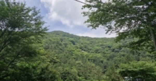 경상남도 고성군 상리면 동산리 OOOO O OOO 임야 경매 물건 이미지