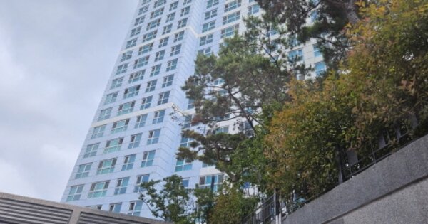 부산 사하구 신평동 411, 104동 OOOOOOOO OOOOOOOOOOOOOOO 오피스텔 경매 물건 이미지