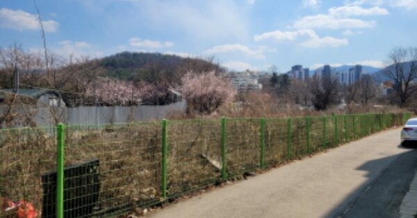 대구광역시 수성구 상동 OOOOO 답 경매 물건 이미지