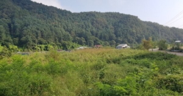 강원특별자치도 홍천군 남면 용수리 OOO O OOO 전 경매 물건 이미지