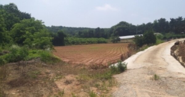 충청남도 당진시 신평면 금천리 OOOOO O OOO 전 경매 물건 이미지