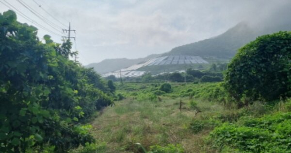 전라남도 고흥군 금산면 어전리 OOOOO 답 경매 물건 이미지