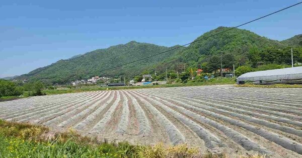 경기도 여주시 강천면 도전리 OOOOO 답 경매 물건 이미지