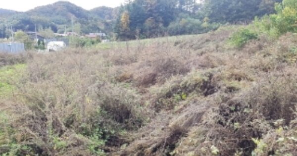 강원특별자치도 홍천군 영귀미면 노천리 OOOOOO 전 경매 물건 이미지