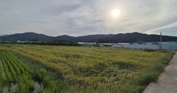경상북도 경주시 조양동 OOOOO O OOO 답 경매 물건 이미지